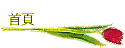 首頁